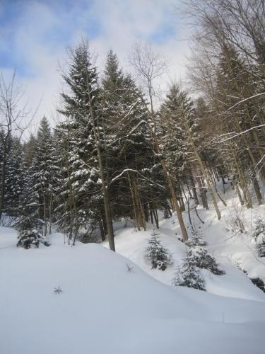 DSCN8304.JPG