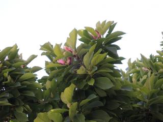 DSCN9460.JPG