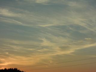 DSCN9195.JPG