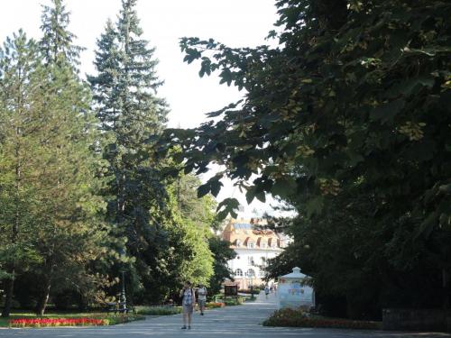 DSCN8800.JPG