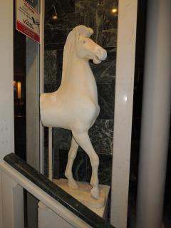 DSCN0657.JPG