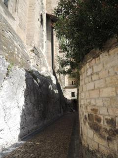 DSCN8017.JPG