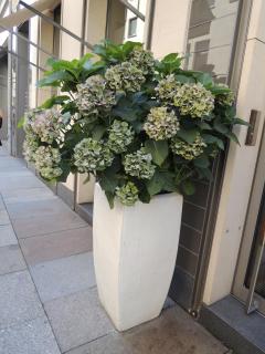 DSCN9522.JPG
