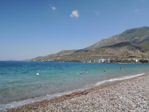 DSCN0687.JPG