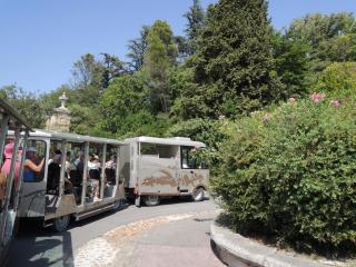 DSCN8066.JPG