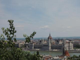 DSCN0392.JPG