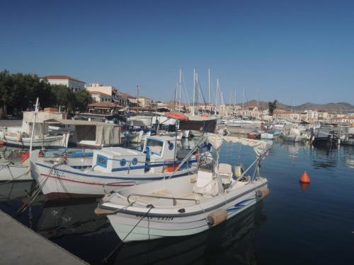 DSCN1639.JPG
