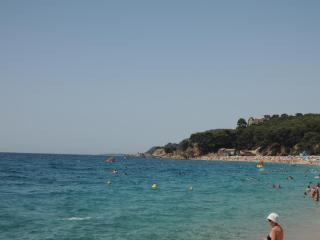 DSCN8248.JPG