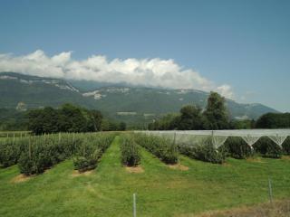 DSCN7951.JPG