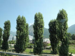 DSCN7975.JPG