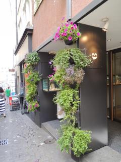DSCN9928.JPG