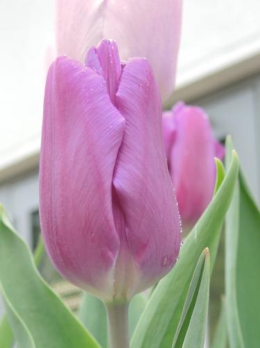 DSCN1217 - копия.JPG