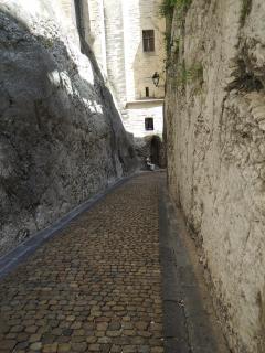 DSCN8018.JPG