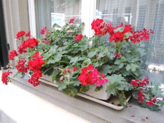 DSCN9954.JPG