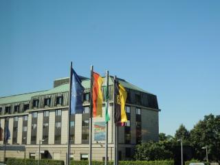 DSCN9333.JPG