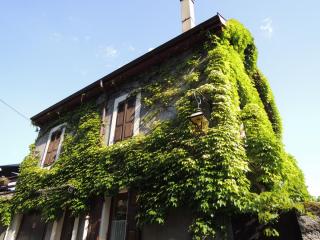 DSCN7786.JPG