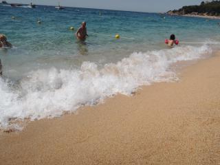 DSCN8239.JPG