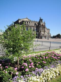 DSCN9396.JPG