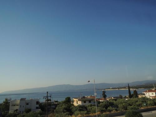 DSCN0739.JPG