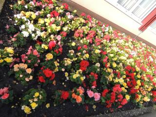 DSCN0017.JPG