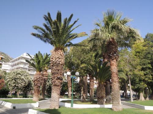 DSCN0917.JPG