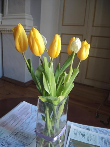 DSCN9040.JPG