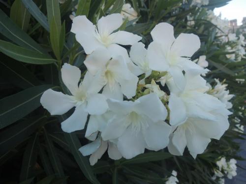DSCN2358.JPG