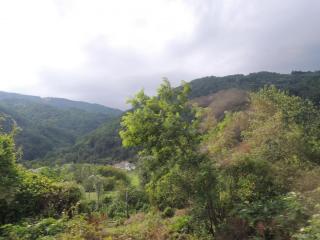 DSCN0275.JPG
