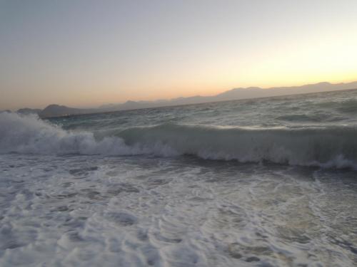 DSCN1084.JPG