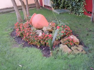 DSCN8215.JPG