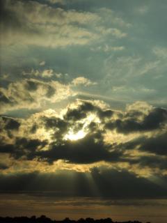 DSCN9156.JPG