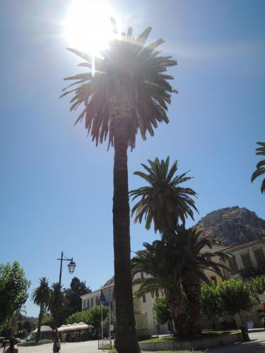 DSCN0720.JPG