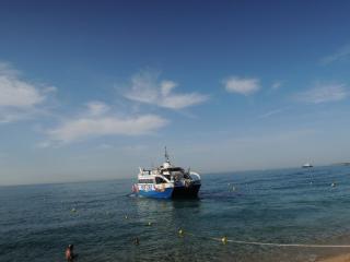 DSCN8231.JPG