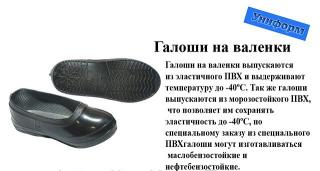 11858220_w640_h640_galoshi_na_valenki-1.jpg