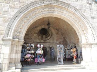 DSCN0303.JPG