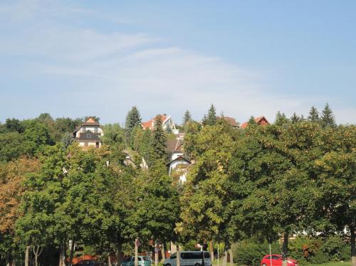 DSCN8762.JPG