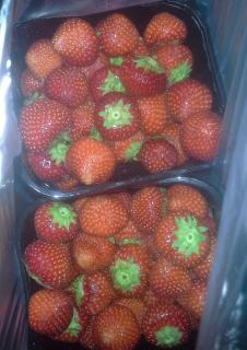 20130804_080030-1.jpg