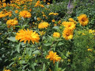 DSCN0193.JPG