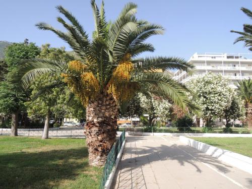 DSCN0916.JPG