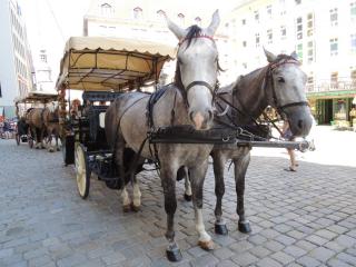DSCN9540.JPG
