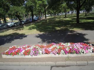 DSCN0061.JPG