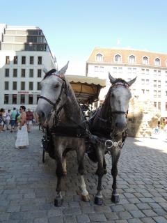 DSCN9539.JPG
