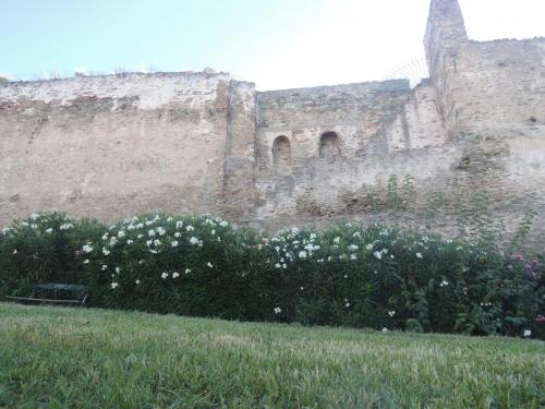 DSCN2388.JPG