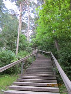 IMG_5370.JPG