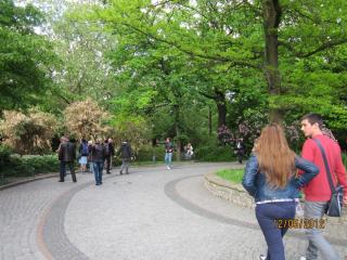 IMG_0458.JPG