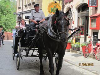 IMG_0362.JPG