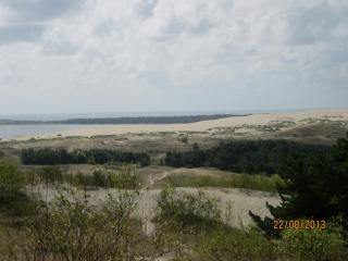 IMG_5553.JPG