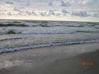 IMG_5376.JPG
