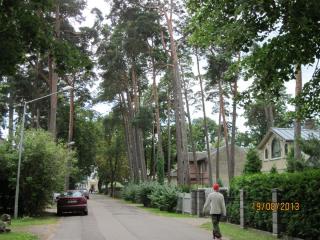 IMG_4753.JPG