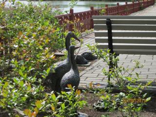 IMG_5629.JPG